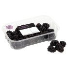 Image for Sainsbury's Blackberries, Sweet 150g from Sainsbury's