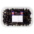 Image for Sainsbury's Blackcurrants 150g from Sainsbury's